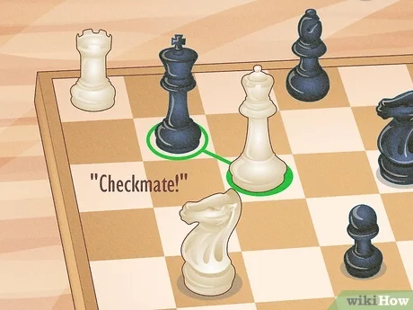 From Pawn to King: A Beginner's Guide to Mastering the Game of Chess